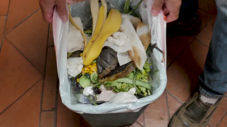 Best Carpet Removal and Disposal  in Shoemakersville, PA